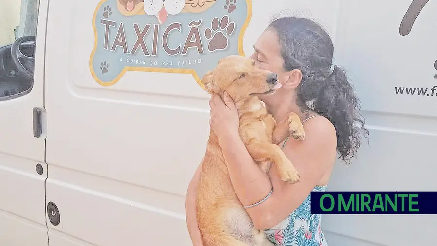 Abriu o Centro de Dia Canino - Mildog House para cães idosos