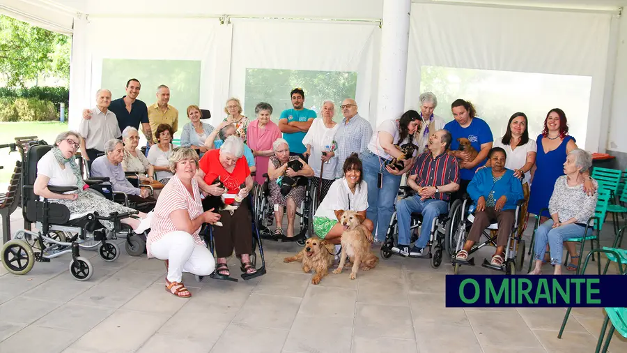 Cães do canil de Vila Franca de Xira alegram o dia a idosos