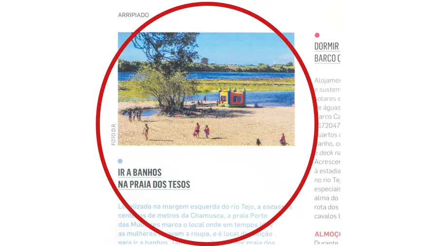 A Praia dos Tesos ou dos cabeçudos da Chamusca A Praia dos Tesos ou dos cabeçudos da Chamusca