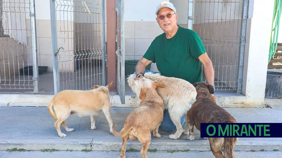 Canil do Cartaxo sobrelotado com cães entregues pela justiça Canil do Cartaxo sobrelotado com cães entregues pela justiça