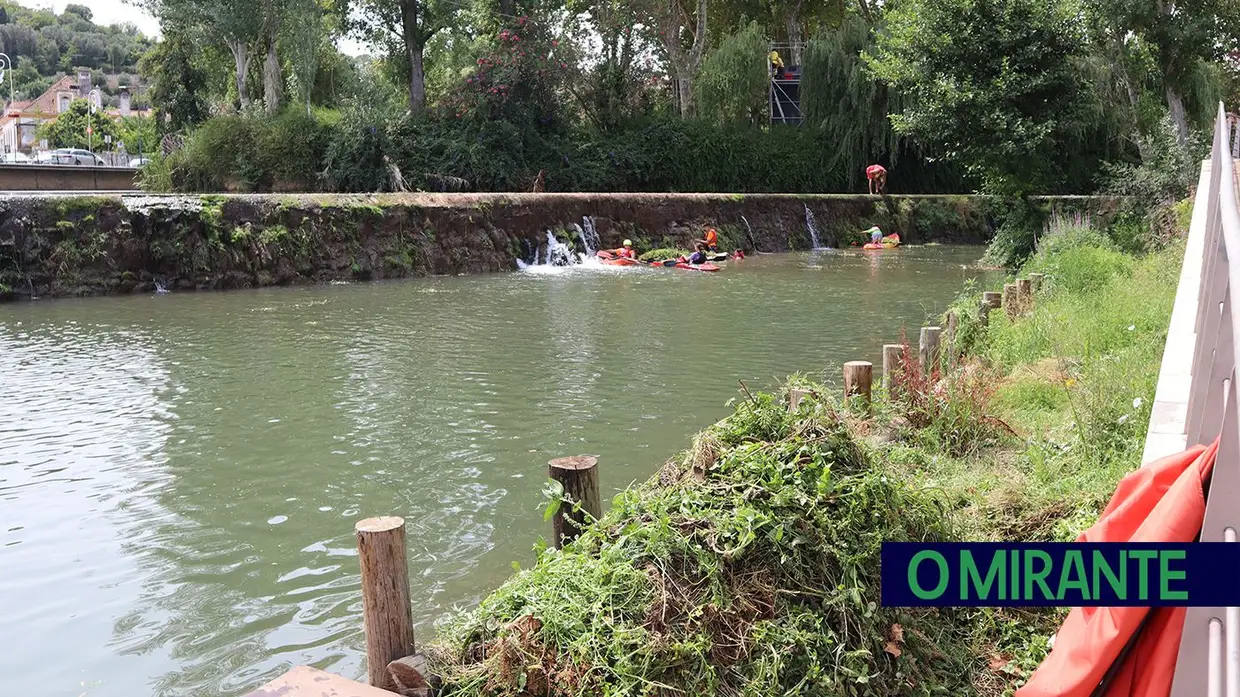 Semana da Juventude arrancou em Tomar com limpeza do rio Nabão