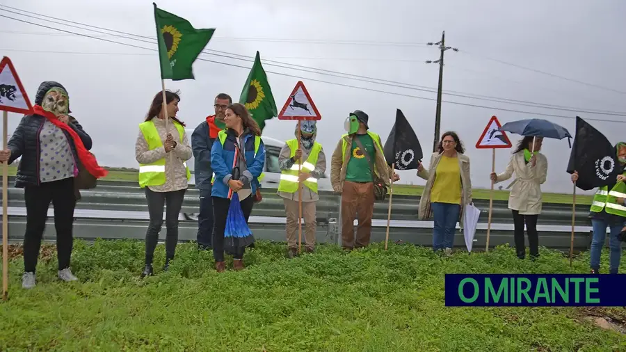 VFX reivindica medidas rápidas para acabar com atropelamentos na Recta do Cabo