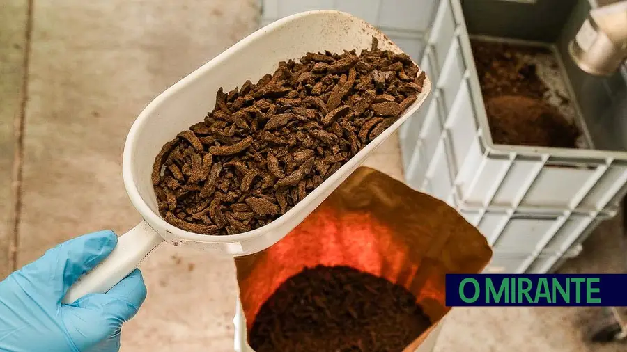 Curso superior de Produção Bioindustrial de Insectos na Escola Agrária de Santarém Curso superior de Produção Bioindustrial de Insectos na Escola Agrária de Santarém