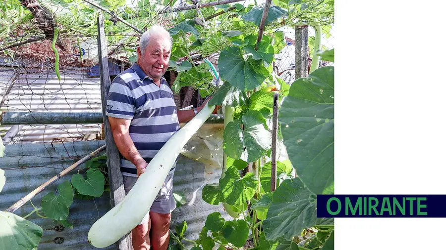 O “trombão” gigante numa casa em Vales de Cima onde a família é o que mais importa