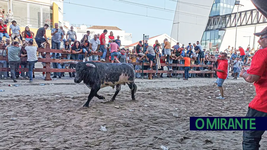 33 organizações contra classificação do Colete Encarnado a património 33 organizações contra classificação do Colete Encarnado a património