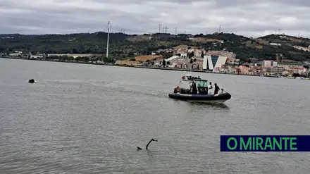 Carro caiu ao Tejo em Vila Franca de Xira