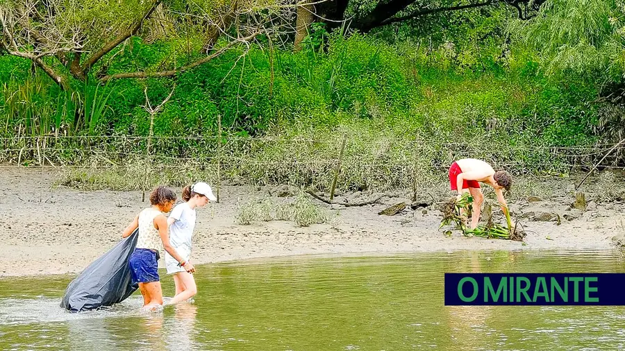 Mão de obra barata