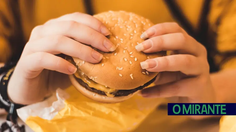 hamburguer fast food hamburguer fast food