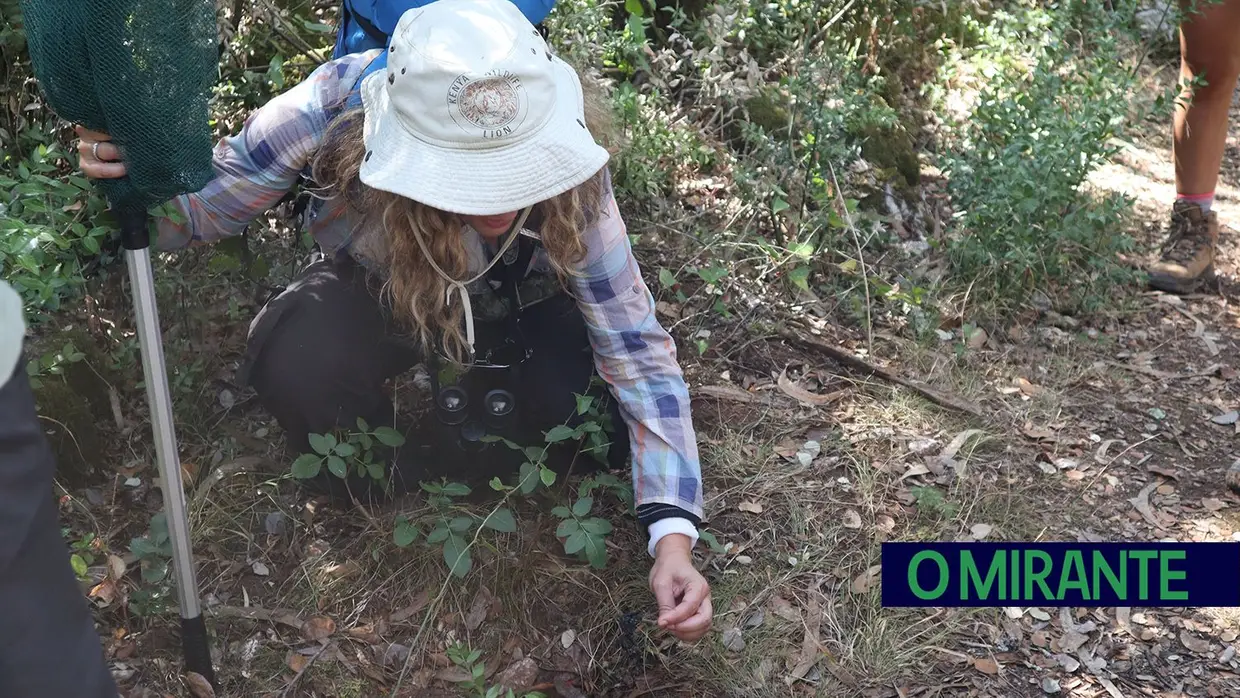 Torres Novas com o projecto Ciência Viva nos Moinhos da Pena