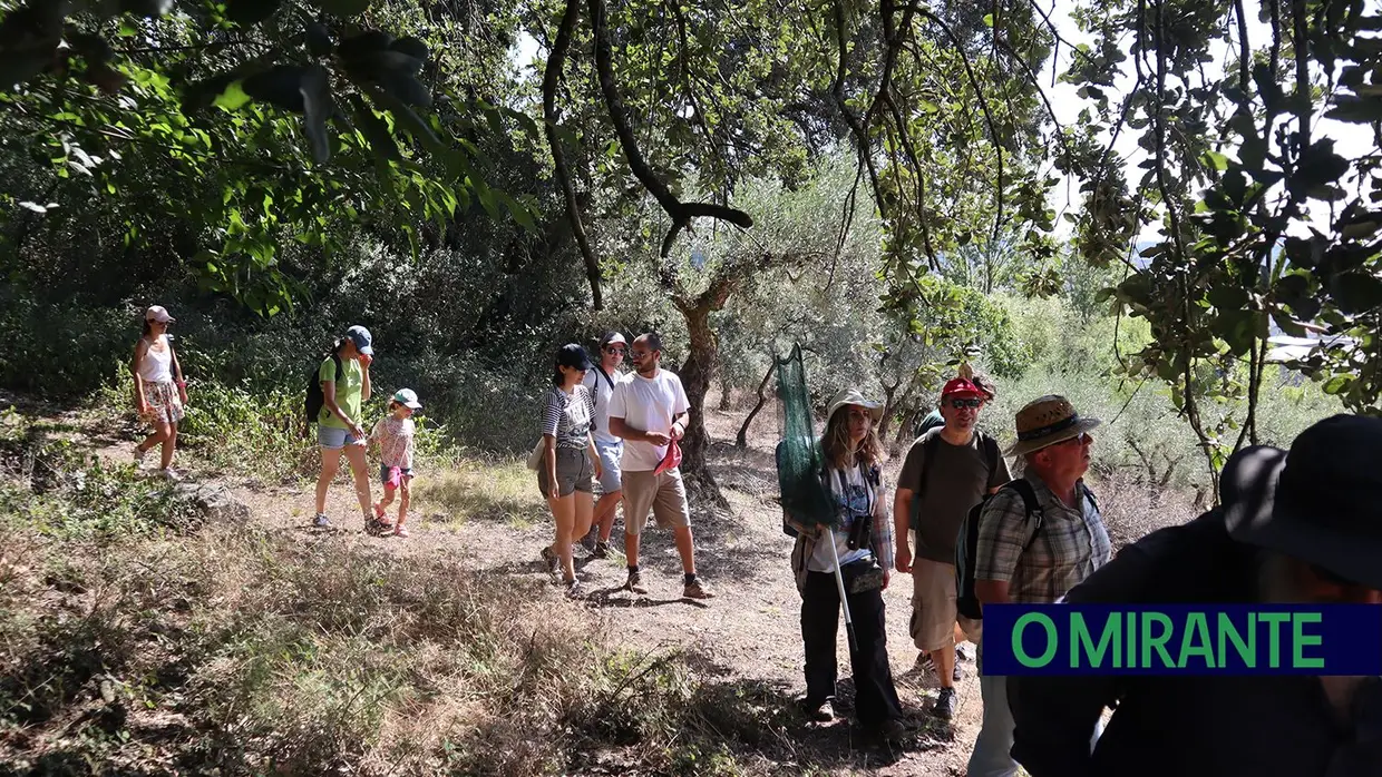 Torres Novas com o projecto Ciência Viva nos Moinhos da Pena