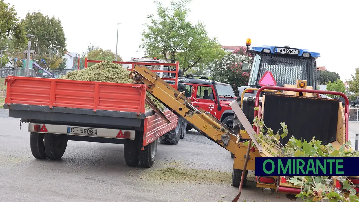 Rebentamento de conduta no Cartaxo obriga ao abate de árvore