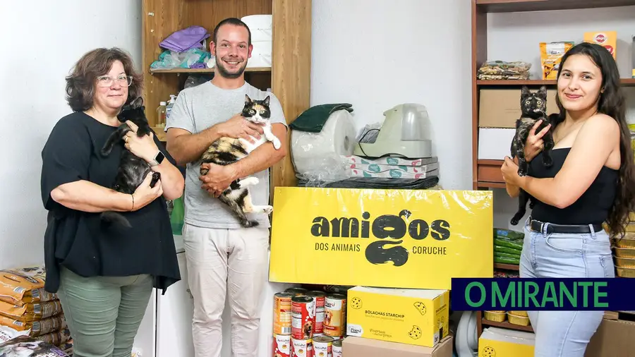 Associação dos Amigos dos Animais de Coruche pede mais apoio da comunidade