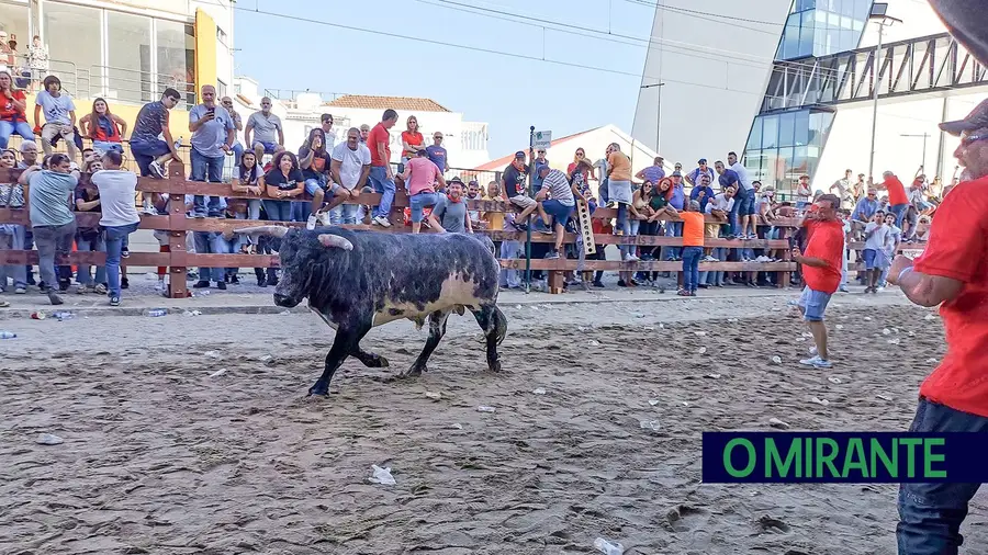 Largadas de toiros fizeram 7 dos 79 feridos das festas do Colete Encarnado Largadas de toiros fizeram 7 dos 79 feridos das festas do Colete Encarnado