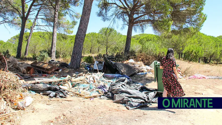 Moradores denunciam lixeira a céu aberto em Alcoentre