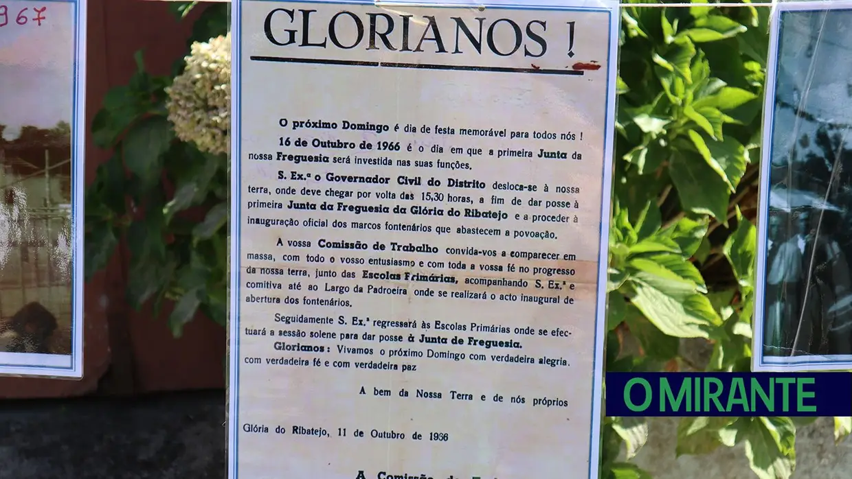 Festas na Glória do Ribatejo com muita adesão