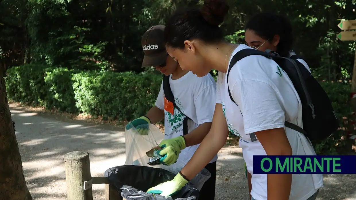 Jovens voluntários em acção pela preservação da Mata Nacional dos Sete Montes