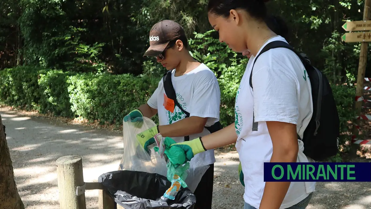 Jovens voluntários em acção pela preservação da Mata Nacional dos Sete Montes