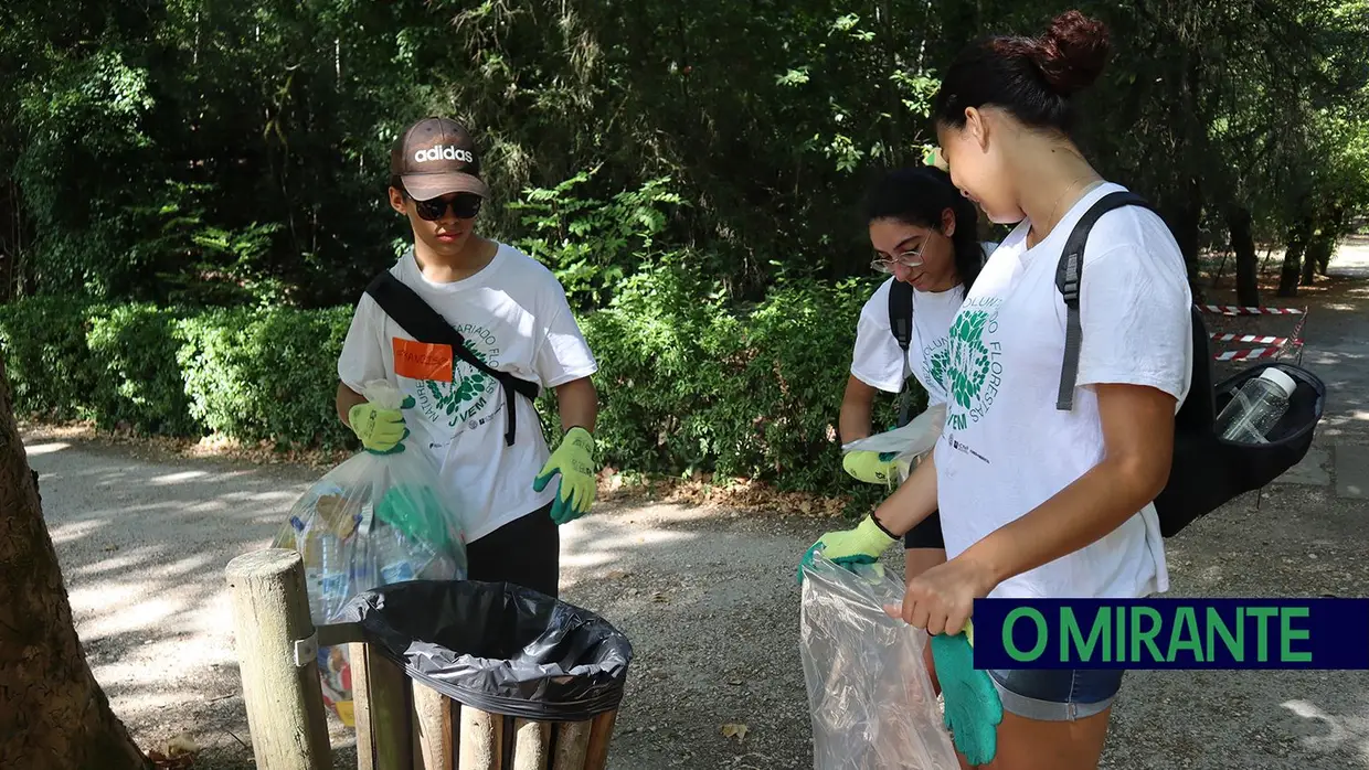 Jovens voluntários em acção pela preservação da Mata Nacional dos Sete Montes