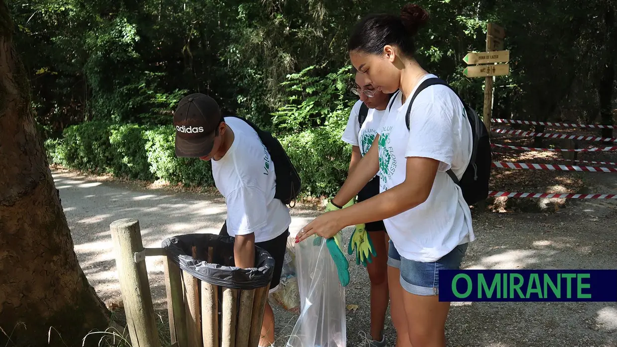 Jovens voluntários em acção pela preservação da Mata Nacional dos Sete Montes