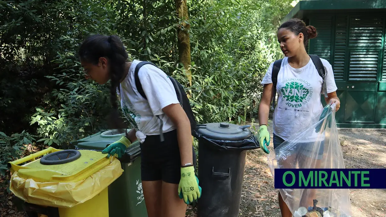 Jovens voluntários em acção pela preservação da Mata Nacional dos Sete Montes