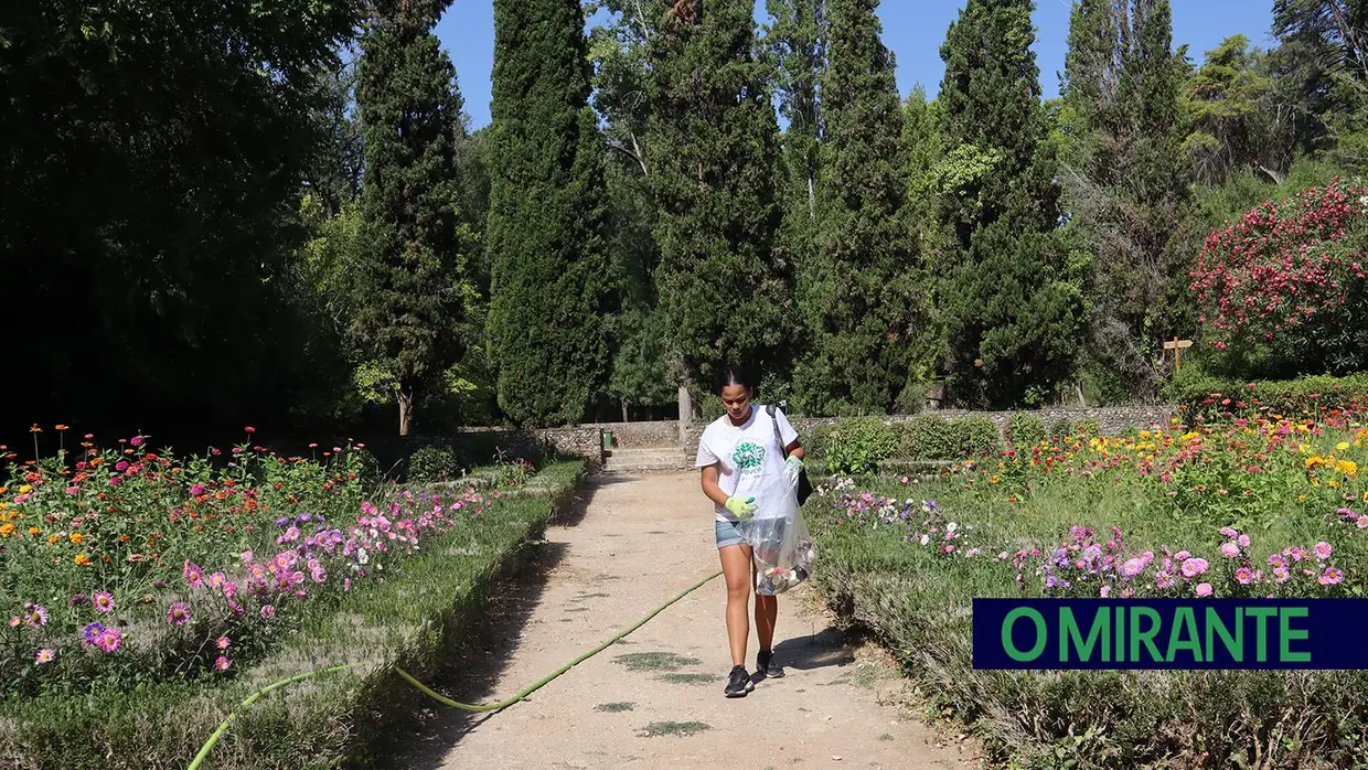 Jovens voluntários em acção pela preservação da Mata Nacional dos Sete Montes