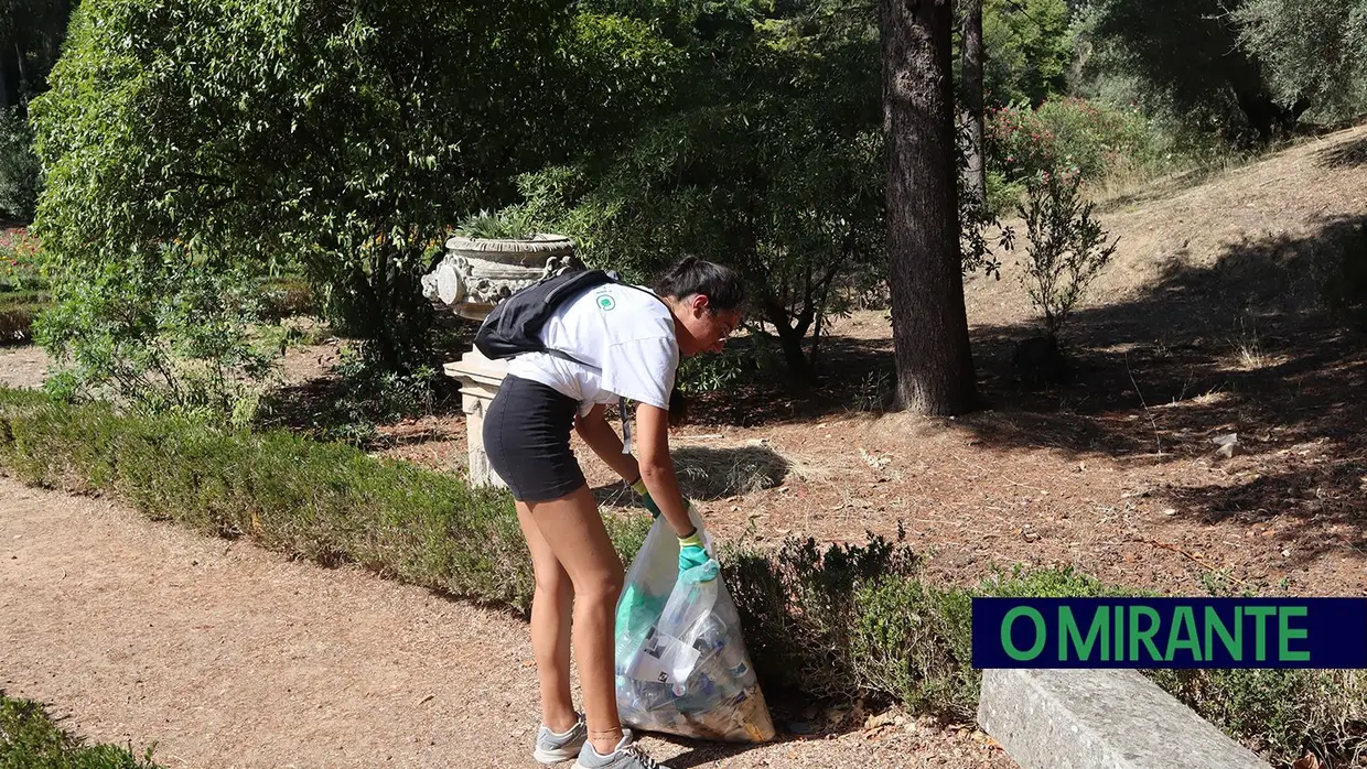 Jovens voluntários em acção pela preservação da Mata Nacional dos Sete Montes