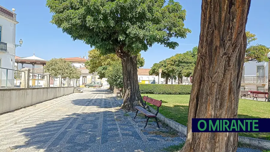 Árvores do Jardim do Coreto na Chamusca vão ser abatidas