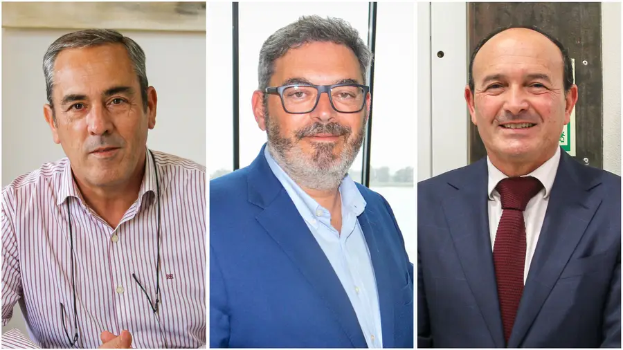 Autarcas desvalorizam novos radares porque acidentes evitam-se com obras nas estradas Autarcas desvalorizam novos radares porque acidentes evitam-se com obras nas estradas