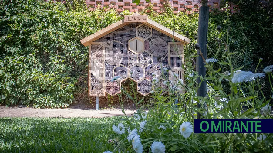 Hotel para insectos em Abrantes para ajudar à conservação da biodiversidade Hotel para insectos em Abrantes para ajudar à conservação da biodiversidade