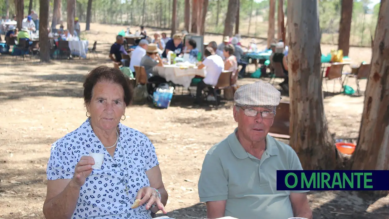 700 idosos reunidos em Benavente para o almoço convívio