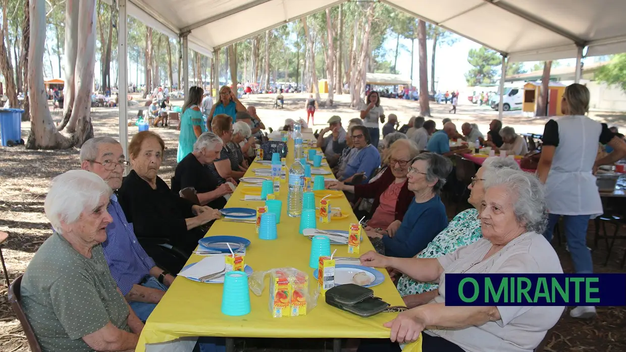 700 idosos reunidos em Benavente para o almoço convívio