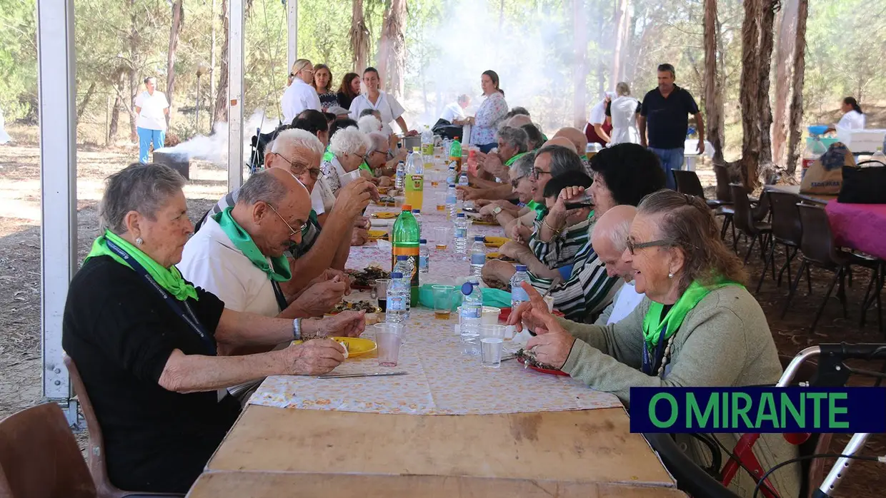 700 idosos reunidos em Benavente para o almoço convívio