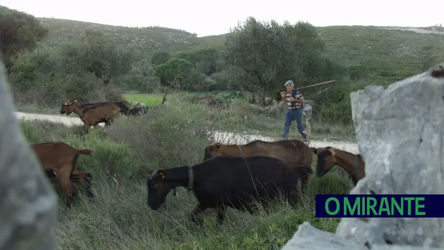 Programa especial para preservar Parque Natural das Serras de Aire e Candeeiros