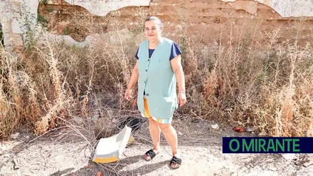 Moradora do Pombalinho tem presença constante de cobras e ratazanas em casa