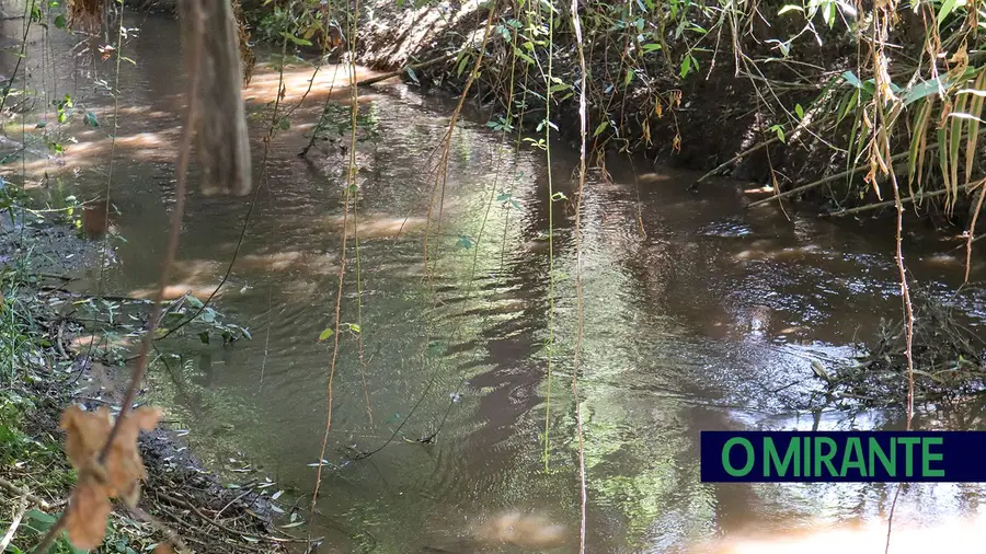 Novos episódios de poluição no rio Maior durante campanha do tomate Novos episódios de poluição no rio Maior durante campanha do tomate