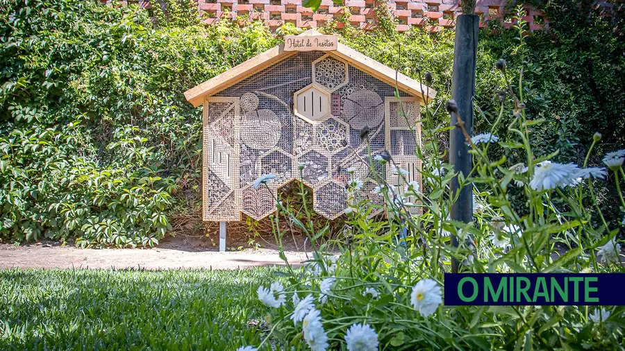 Hotel para insectos em Abrantes para ajudar à conservação da biodiversidade Hotel para insectos em Abrantes para ajudar à conservação da biodiversidade