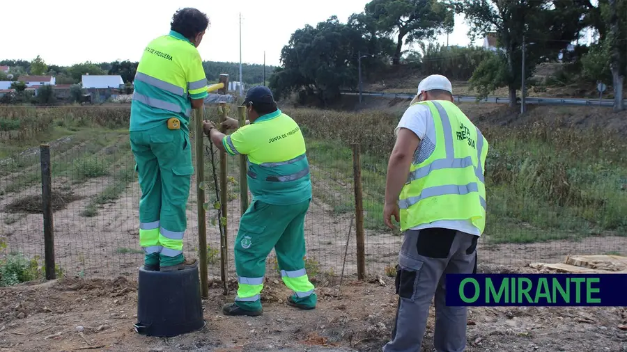 Novo espaço verde em São João da Ribeira