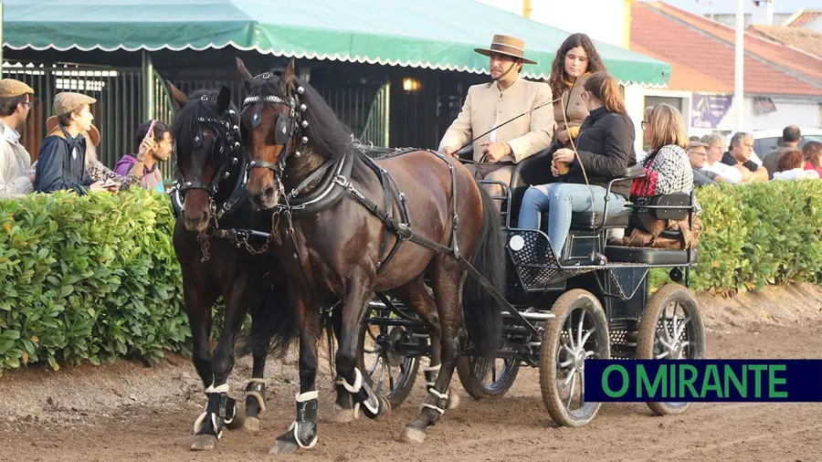 Muitas novidades na edição deste ano da Feira Nacional do Cavalo Muitas novidades na edição deste ano da Feira Nacional do Cavalo