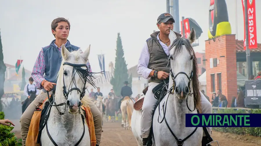 Feira Nacional do Cavalo na Golegã mais exigente na segurança e bem-estar dos animais