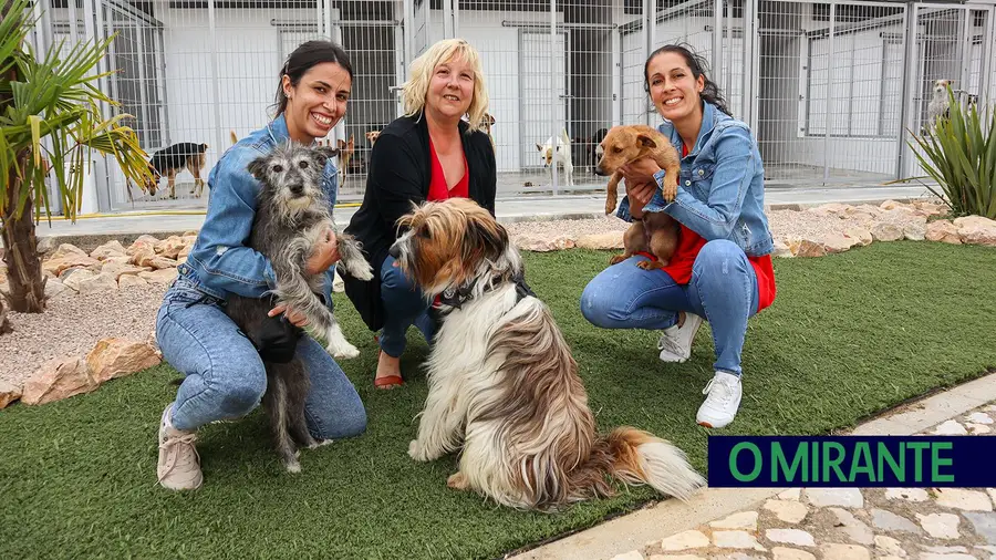 Apesar de todos os avanços continua a fazer sentido celebrar o Dia Mundial do Animal