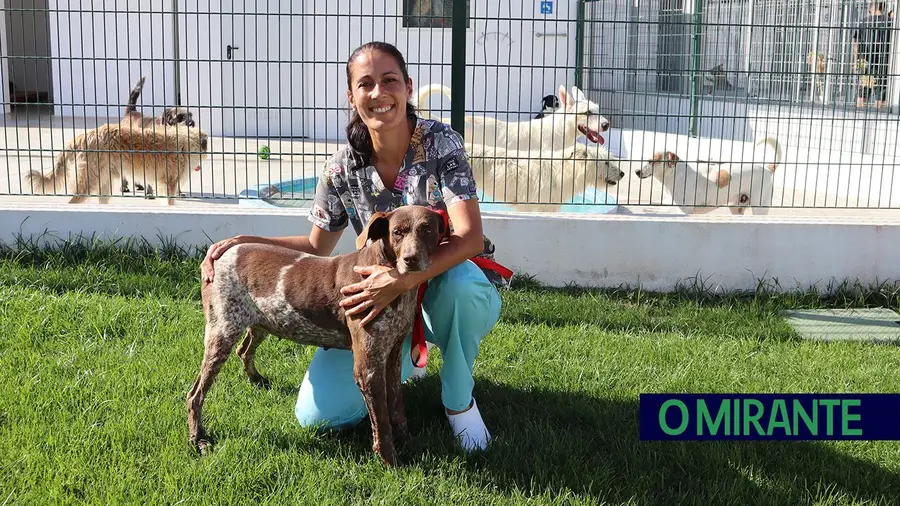 Centenas de animais esperam por novo dono no Canil e Gatil de Tomar Centenas de animais esperam por novo dono no Canil e Gatil de Tomar