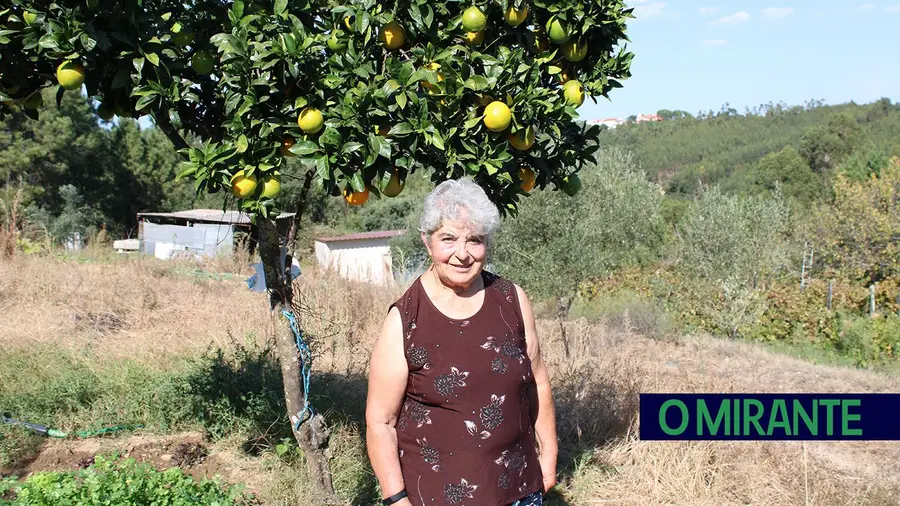 Alzira Bernardino: uma mulher rural que trabalha no campo há 60 anos