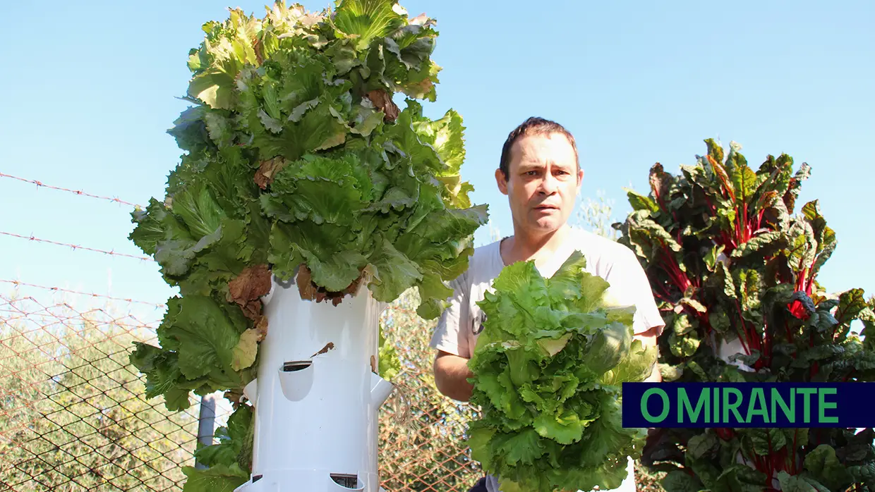 Horta cultivada por reclusos ajuda a alimentar 150 famílias de Torres Novas