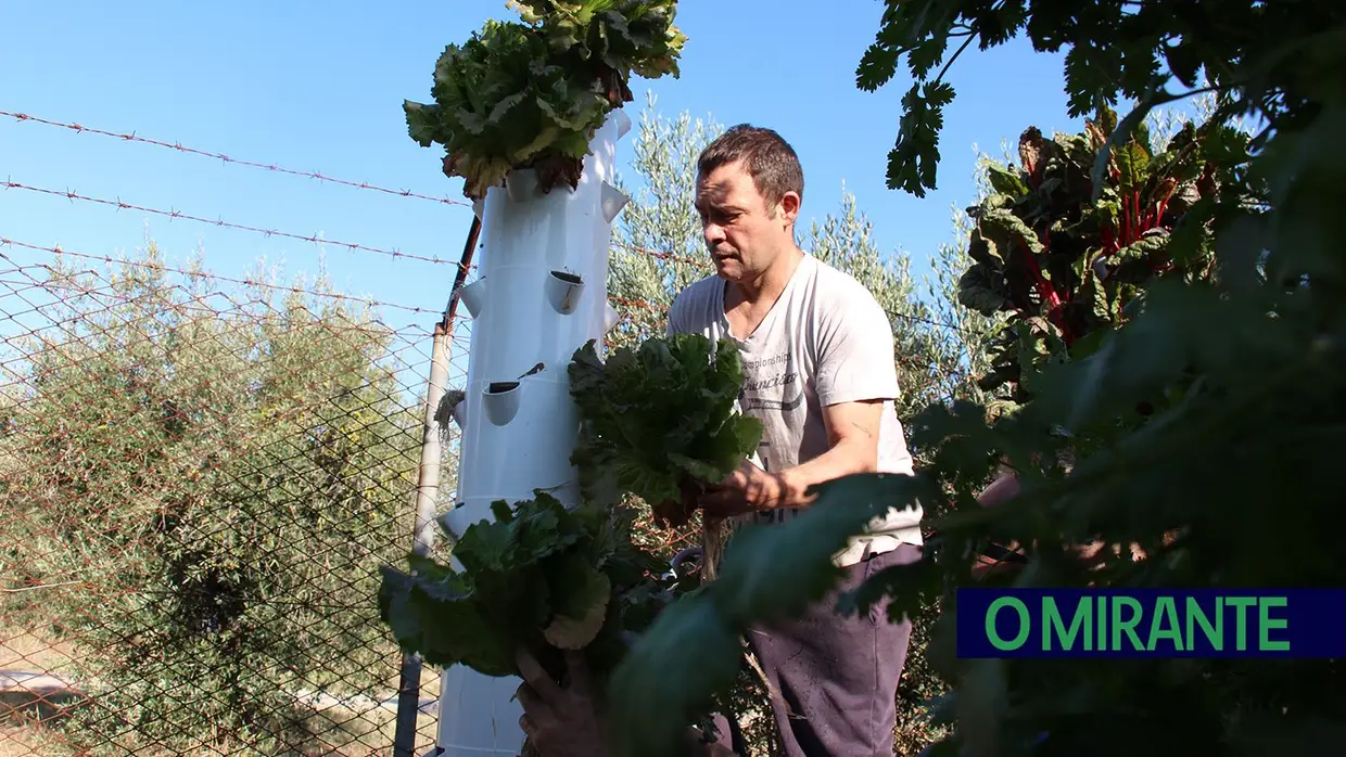 Horta cultivada por reclusos ajuda a alimentar 150 famílias