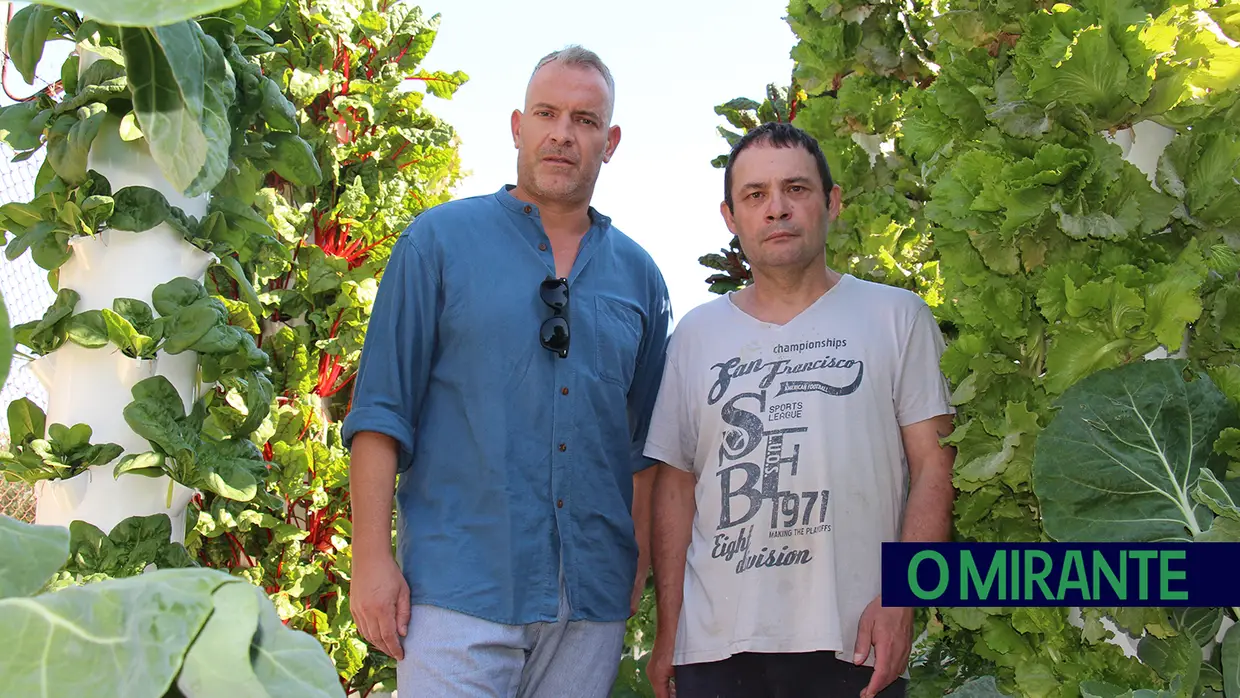 Horta cultivada por reclusos ajuda a alimentar 150 famílias de Torres Novas