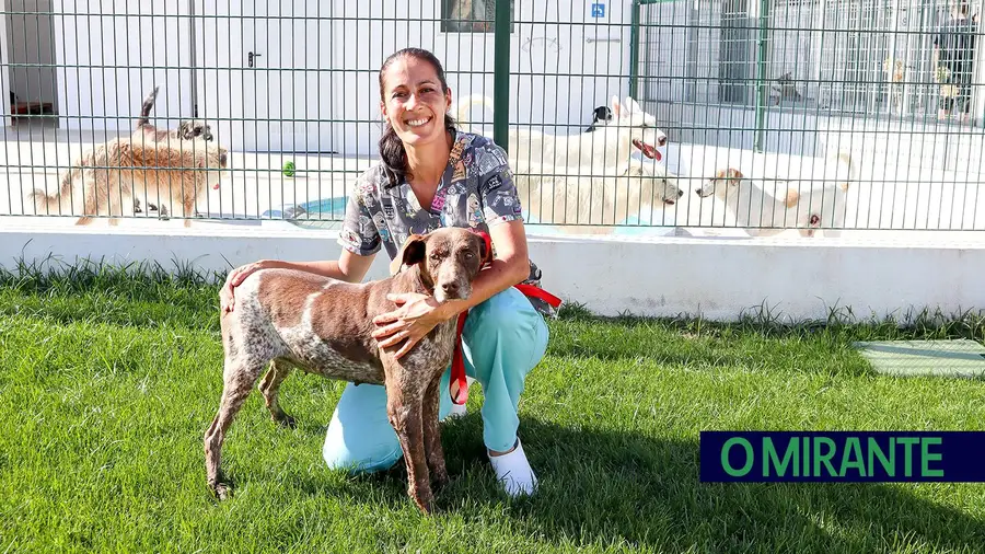 Meio milhar de animais esperam novo dono no canil e gatil de Tomar Meio milhar de animais esperam novo dono no canil e gatil de Tomar