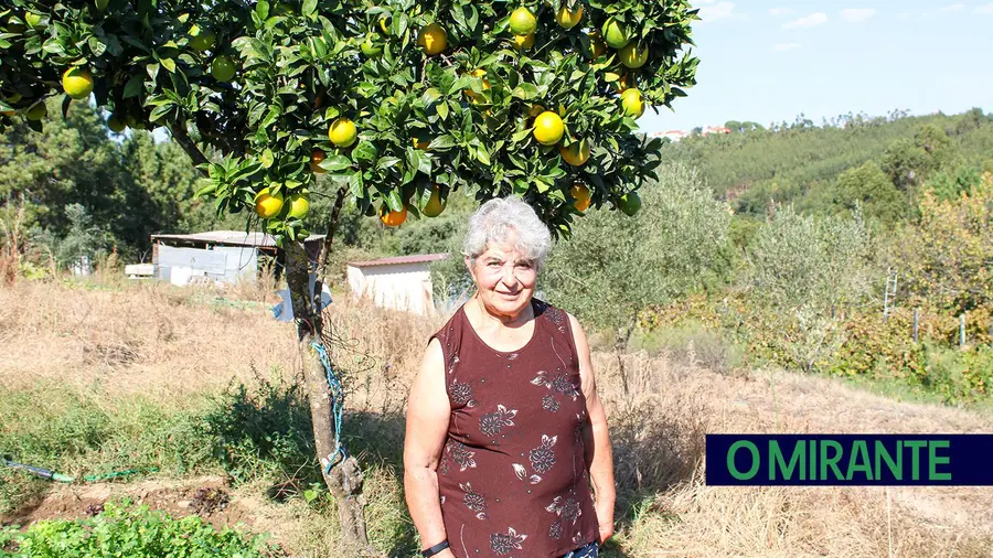 Alzira Bernardino trabalha no campo há 60 anos e ainda ajuda a fazer vinho em casa