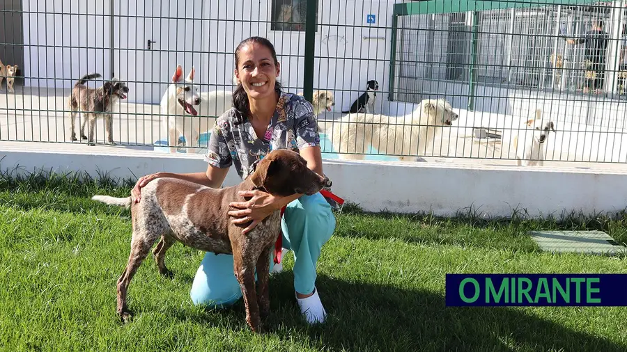 Campanha de adopção de animais em Tomar