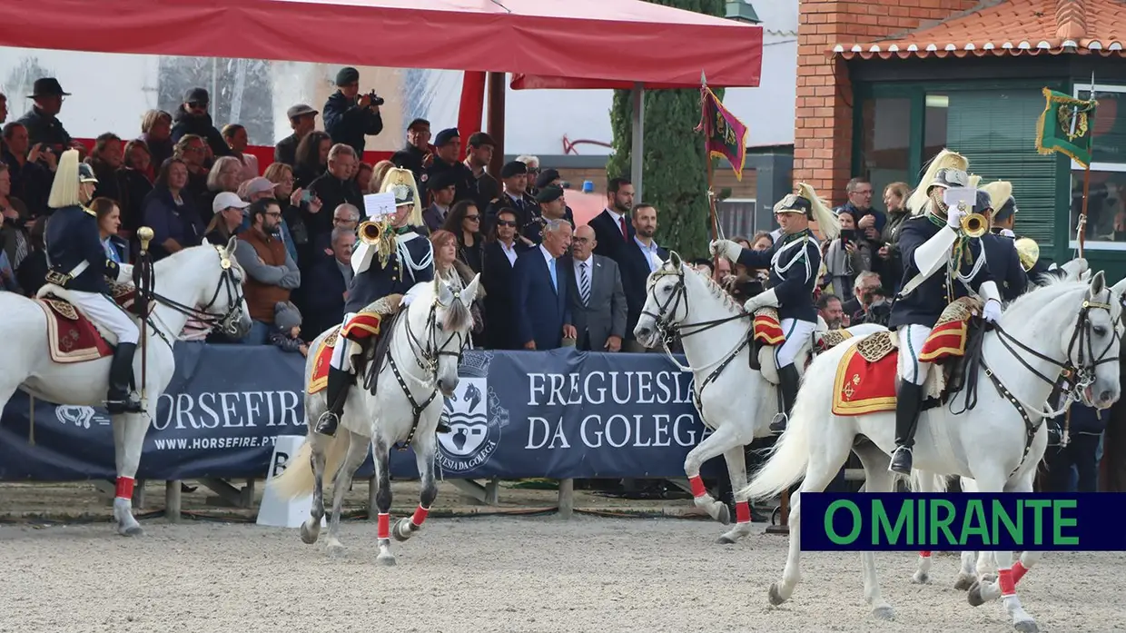 Feira Nacional do Cavalo regressa à Golegã