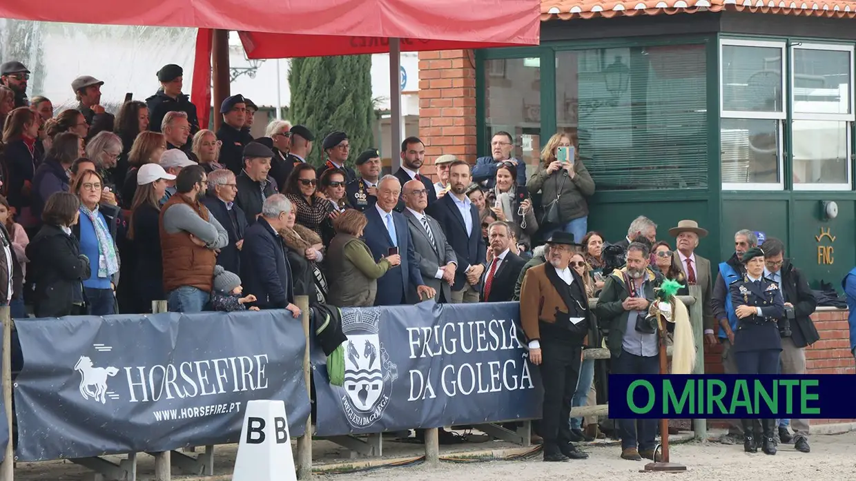 Feira Nacional do Cavalo regressa à Golegã